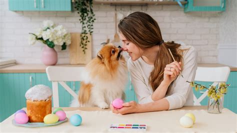 Easter Hazards For Dogs And Cats Metlife Pet Insurance