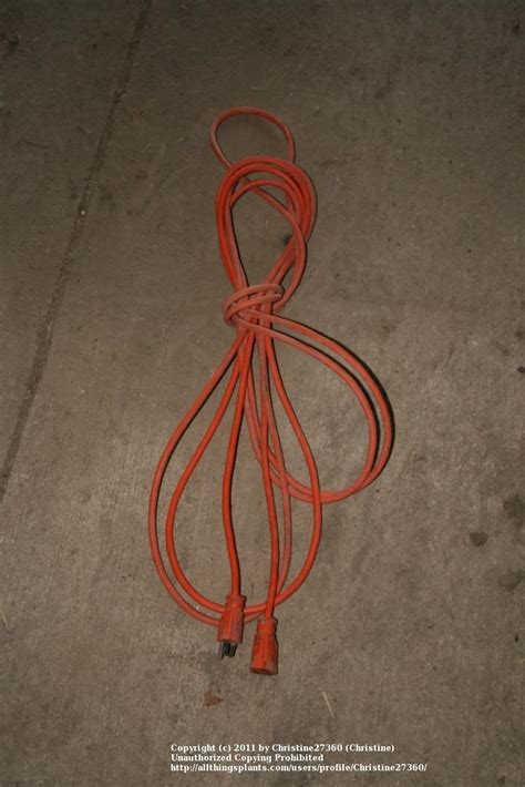 Properly Storing An Extension Cord