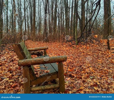 Forest Bench Stock Image Image Of Fall Wooden Relax 63222219