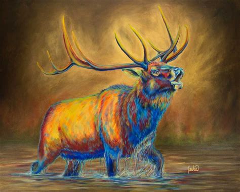 Portfolio Colorful Contemporary Animal Wildlife Fine Art Paintings