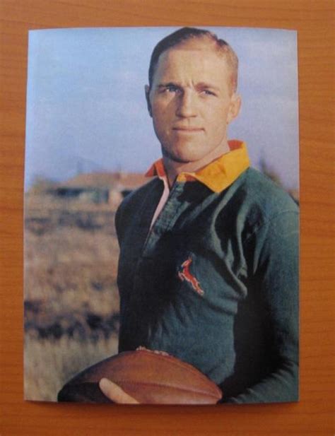 Rugby Gloss Photo Of Former Springbok Rugby Player Avril Malan Was
