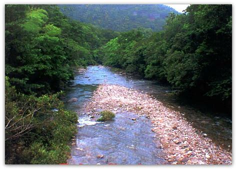 Layou Riverdominica Flickr Photo Sharing