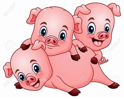 Pig Cartoon Three Pigs Animados Tres Dibujos