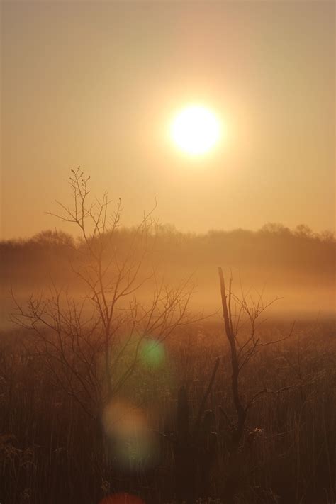 Free Images Landscape Nature Outdoor Horizon Light Sun Fog