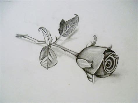 3d Rose Drawing At Explore Collection Of 3d Rose