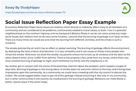 Social Issue Reflection Paper Essay Example
