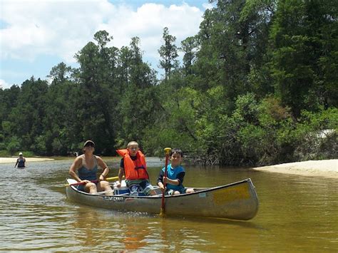 Go Canoeing On The Blackwater River This Is Near Milton Fl Florida