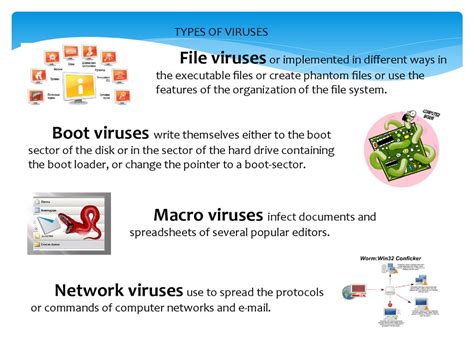 Viruses can carry other viruses. Virus vs. Antivirus - презентация онлайн