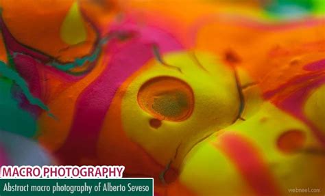 Colorful Abstract Macro Photography Ideas By Alberto Seveso