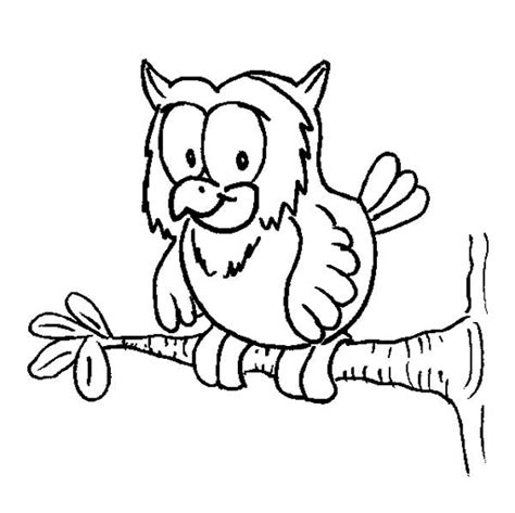 Owl On A Tree Branch Coloring Page Owl On A Tree Branch Coloring Page