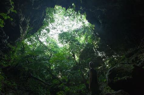 ~lori Explore Island Tropical Rainforest