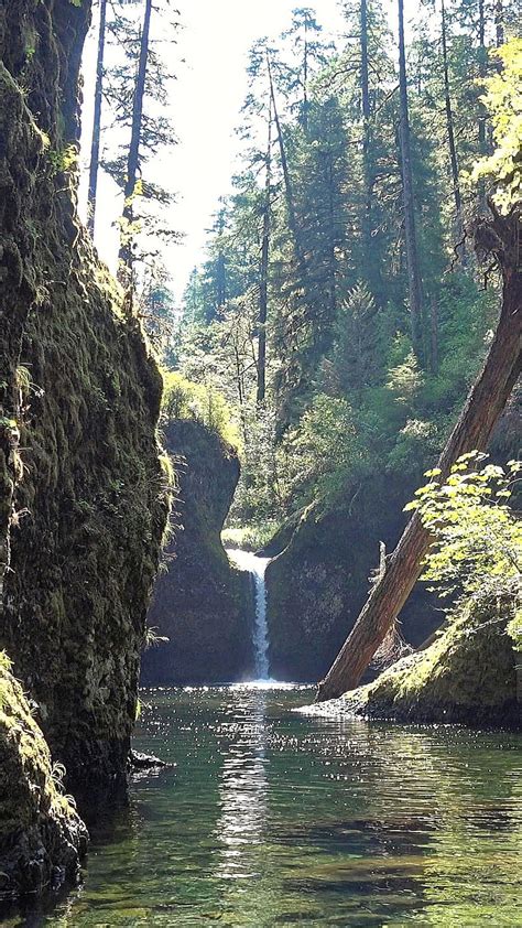 Columbia River Gorge Oregon Usa Waterfalls Hd Phone Wallpaper Peakpx