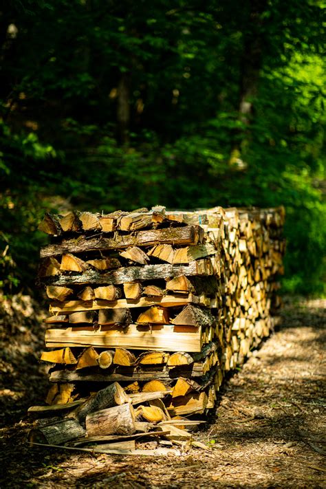 Wallpaper Photography Outdoors Nature Trees Forest Wood Block