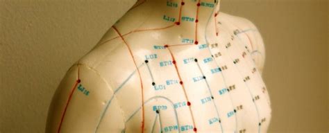 How Does Acupuncture Work Tlc Acupuncture Brisbane