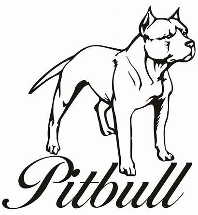 Coloring Pages Pitbull Pit Fire Printable Drawings