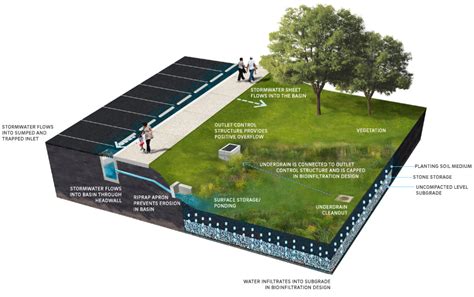 Stormwater Basin Remediation By Design Landscapes