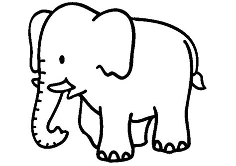 Coloring pages for adults and kids. Elefanten ausmalbilder 12 | Ausmalbilder
