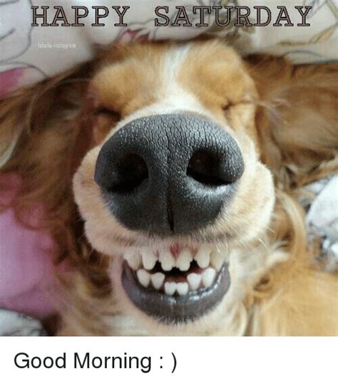 Quick links happy saturday meme super funny saturday memes HAPPY SATURDAY Good Morning | Meme on ME.ME