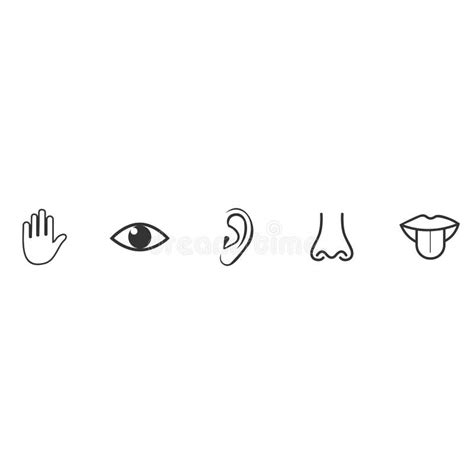 Símbolo De Diseño De Vector De Icono De Cinco Sentidos Ilustración Del