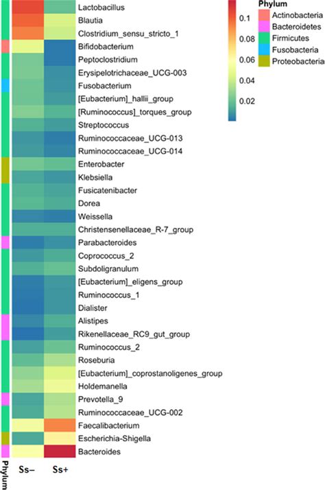 Heatmap Of The Top Bacterial Taxa At The Genus Level The X Axis And Download Scientific