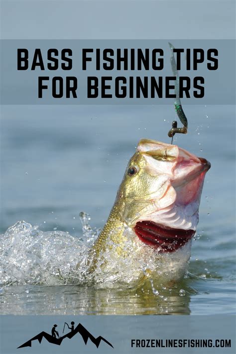 Pin On Bass Fishing