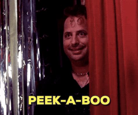 Peek A Boo GIFs Find Share On GIPHY