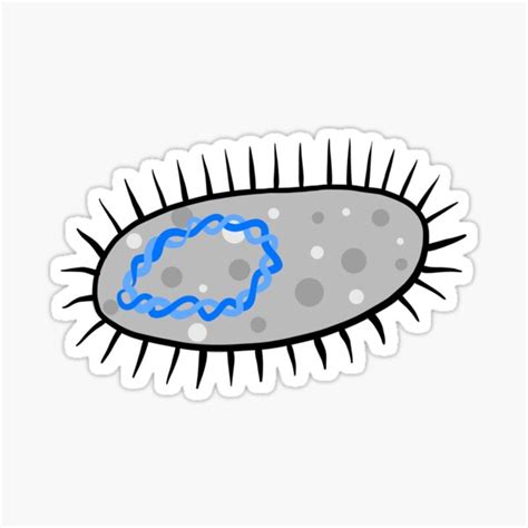 Cute E Coli Bacteria On White Sticker For Sale By Fogoosherie Redbubble