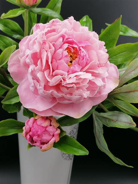 Pink Peony From Cold Porcelain Clay Peony Porcelain Flowers Etsy