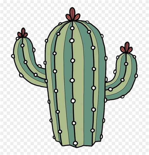 Cactus Tumblr Drawing Free Download On Clipartmag
