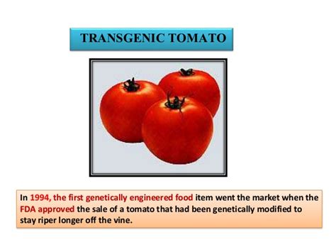 Transgenic organism genetically modified organisms (gmos) are produced by inserting genetic material (sometimes from another species) into a plant such that the new genetic material will provide the plant the ability to exhibit some desirable trait (i.e., genetic engineering). Production of transgenic organism