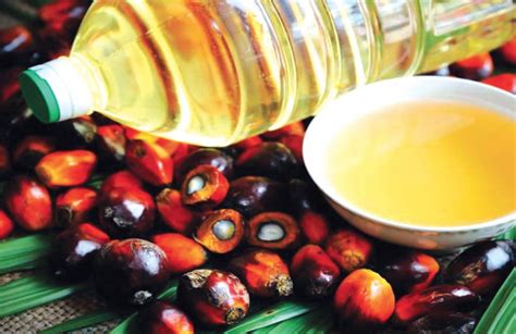 Bangi, sept 1 — the malaysian palm oil board (mpob) is optimistic that the crude palm oil (cpo) price will continue to at the event, vitamin e tokotrienol products were handed over to mpob staff and retirees at a discounted price. Techbond collaborates with MPOB to produce polyols