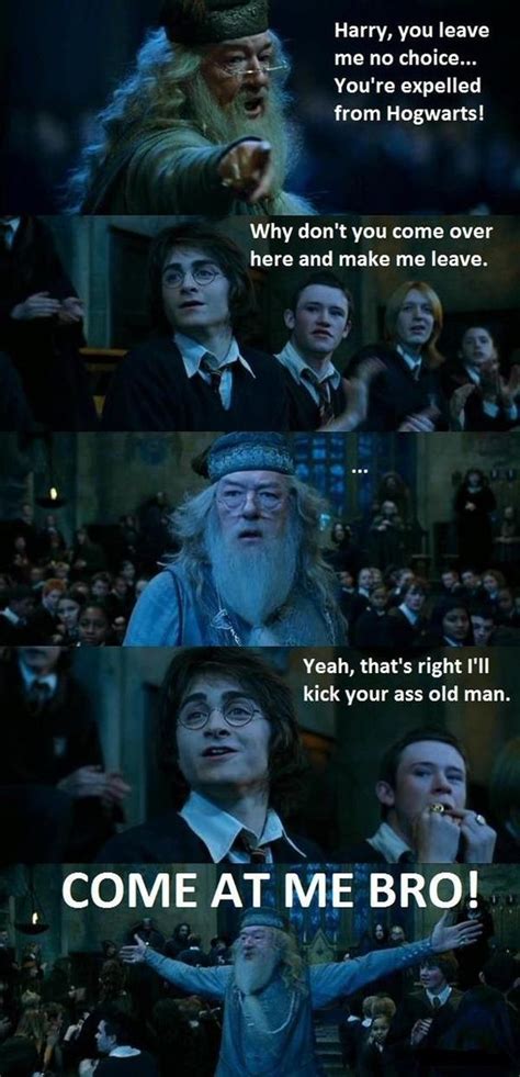 Best Funny Harry Potter Thing Ever Random Funnies