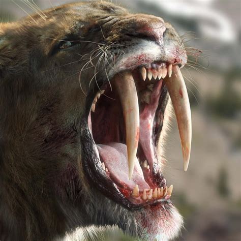 Discovery On Instagram Smile Its Smilodon Better Known To Us As The