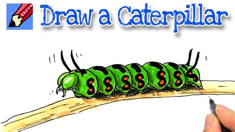 How To Draw A Caterpillar Youtube