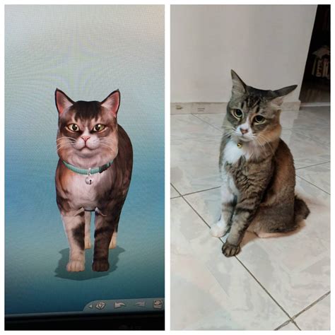 Recreated My Favourite Cat In The Sims 4 Thesims