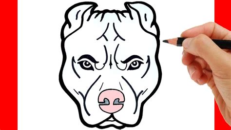 How To Draw A Pit Bull Youtube