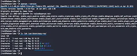 How To Install OpenVPN Server And Client With Easy RSA 3 On CentOS 7