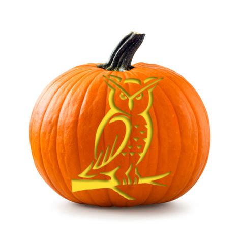 Free Printable Owl Pumpkin Carving Stencil