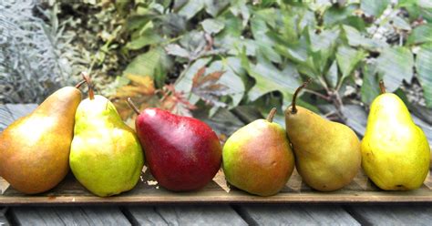 Fall Pears Sweet And Savory