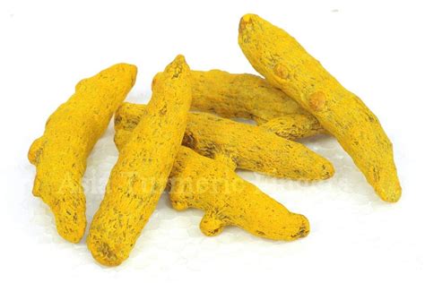 Erode Turmeric Finger Polished For Food Packaging Size Kg At Rs