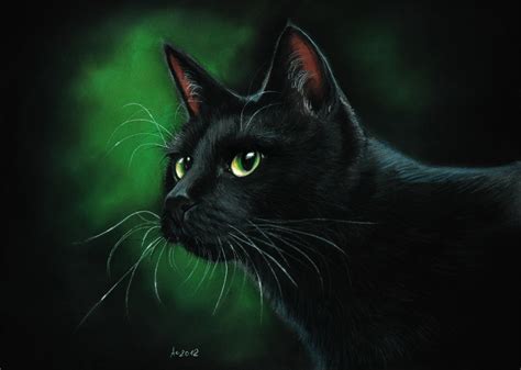 Nighthawk Black Cat By Art It Art On Deviantart