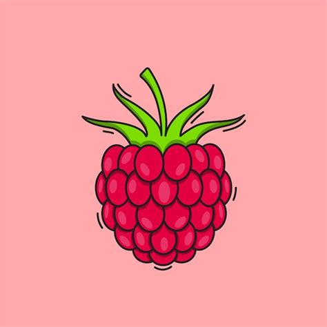 Ilustraci N De Frutas De Frambuesa Dibujo De Frambuesa Vectorial