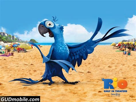 Rio Movie Wallpaper Hd High Resolution Wallpapers And Pictures Collection