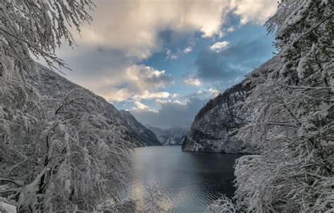 Wallpaper Winter Snow Trees Mountains Branches Lake Germany