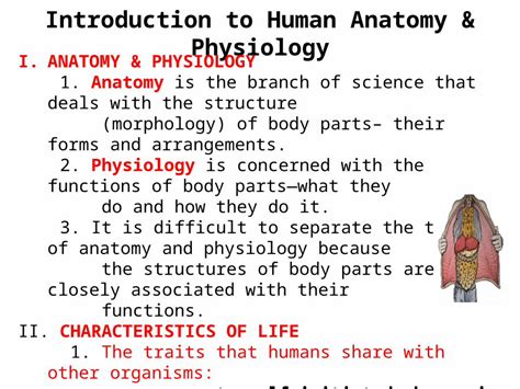 Anatomy Physiology Anatomy Structure Morphology Of Body Parts The Best Porn Website