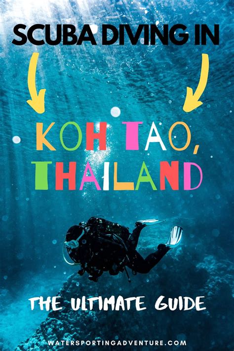 Scuba Diving In Koh Tao Thailand The Ultimate Guide By Watersportsing Adventures
