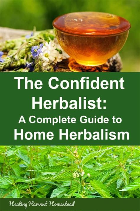 a beginner s herbalism course all about creating your own home apothecary including tinctures
