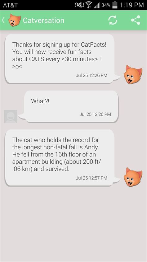 Google again canceled its april fools' jokes in 2021 due to the pandemic. How to Prank Your Friends with Random Cat Facts Text ...