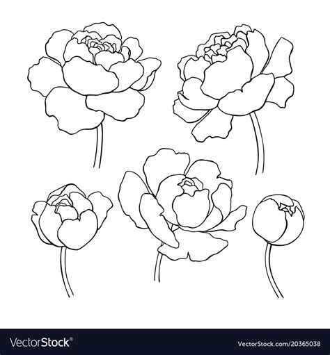 Free Free 95 Simple Flower Drawing Svg SVG PNG EPS DXF File