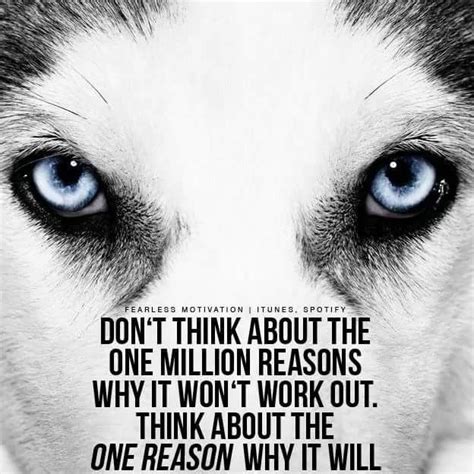 Pin By Bob Rabon On Wolf Wolf Pack Quotes Lone Wolf Quotes Warrior